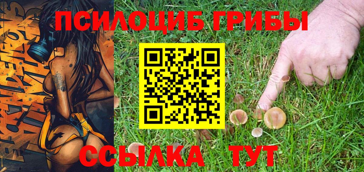 Галлюциногенные грибы MAGIC MUSHROOMS Луга