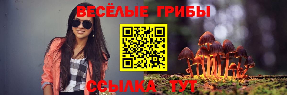 Луга  как найти закладки  Вход с VPN  Псилоцибиновые грибы Cubensis 